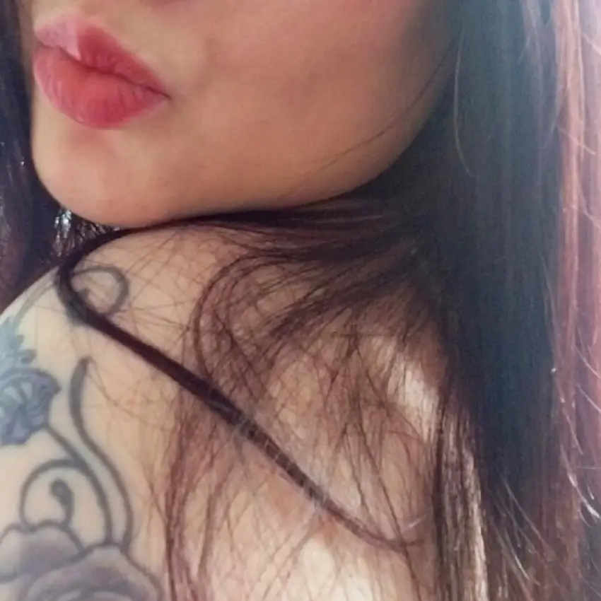 sissi.sox – Spotti.net