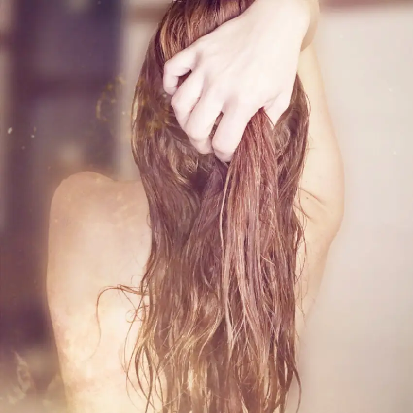 sophia.wetslip – Spotti.net