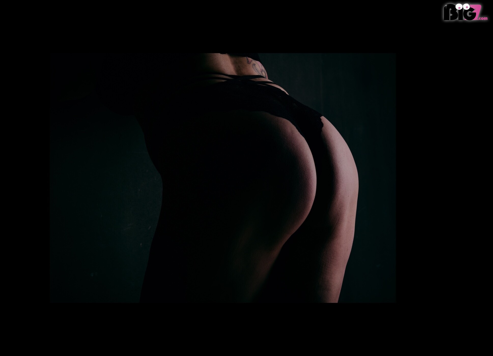 Avelisse – Spotti.net