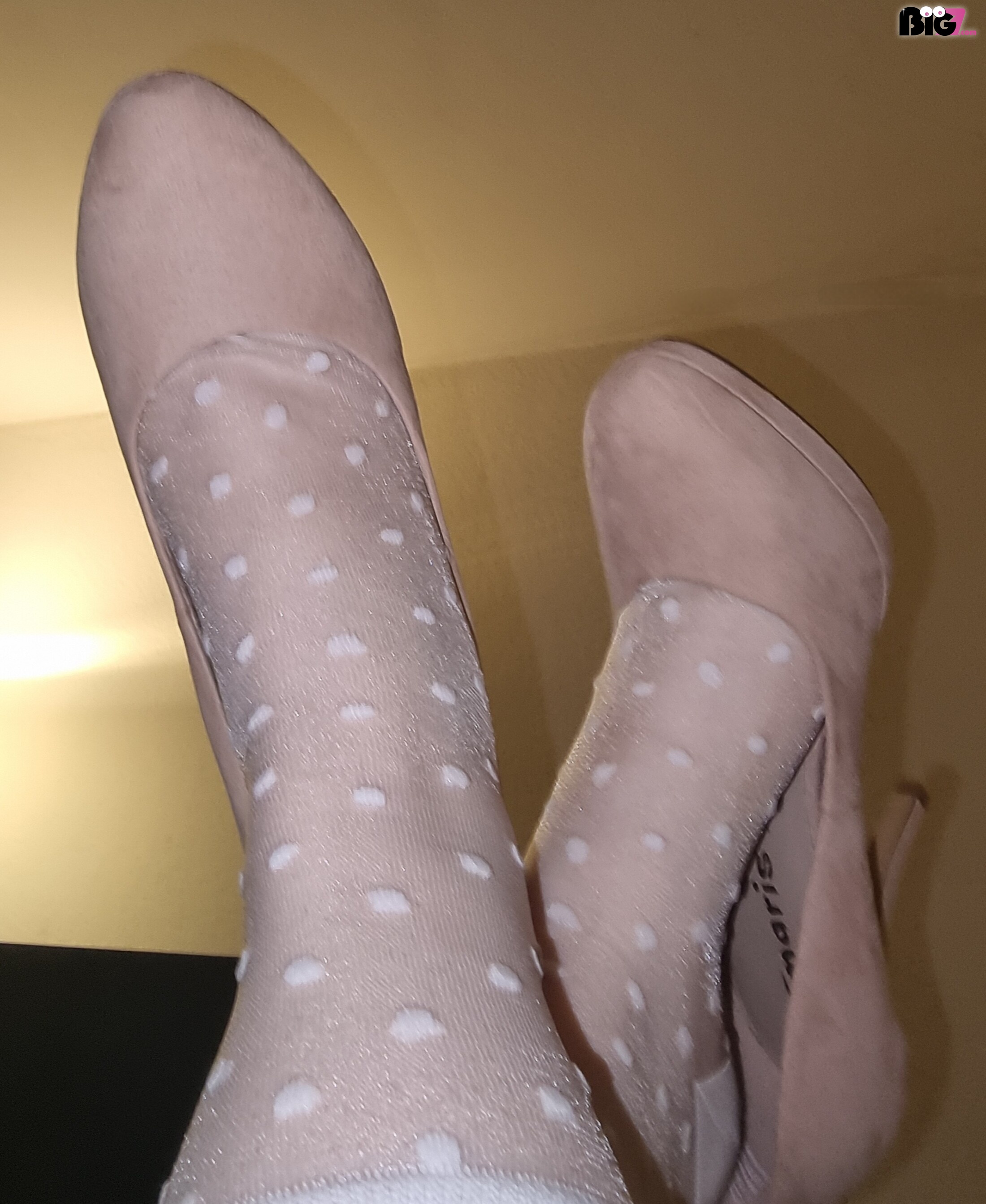 Nyloncutie – Spotti.net