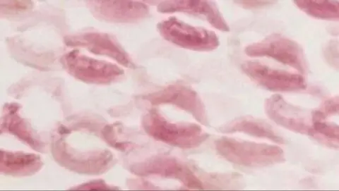 Francesca 🌟 – Spotti.net